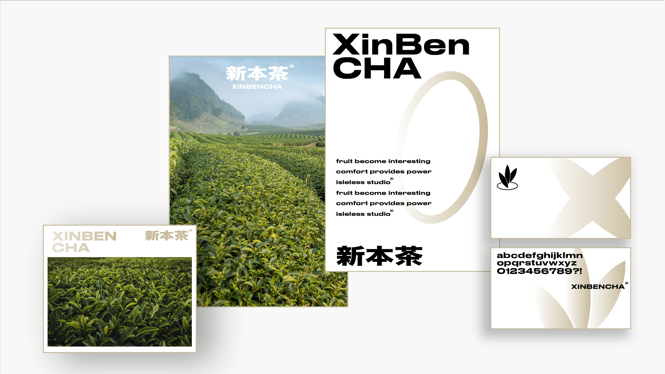茶品牌包装设计-11.jpg