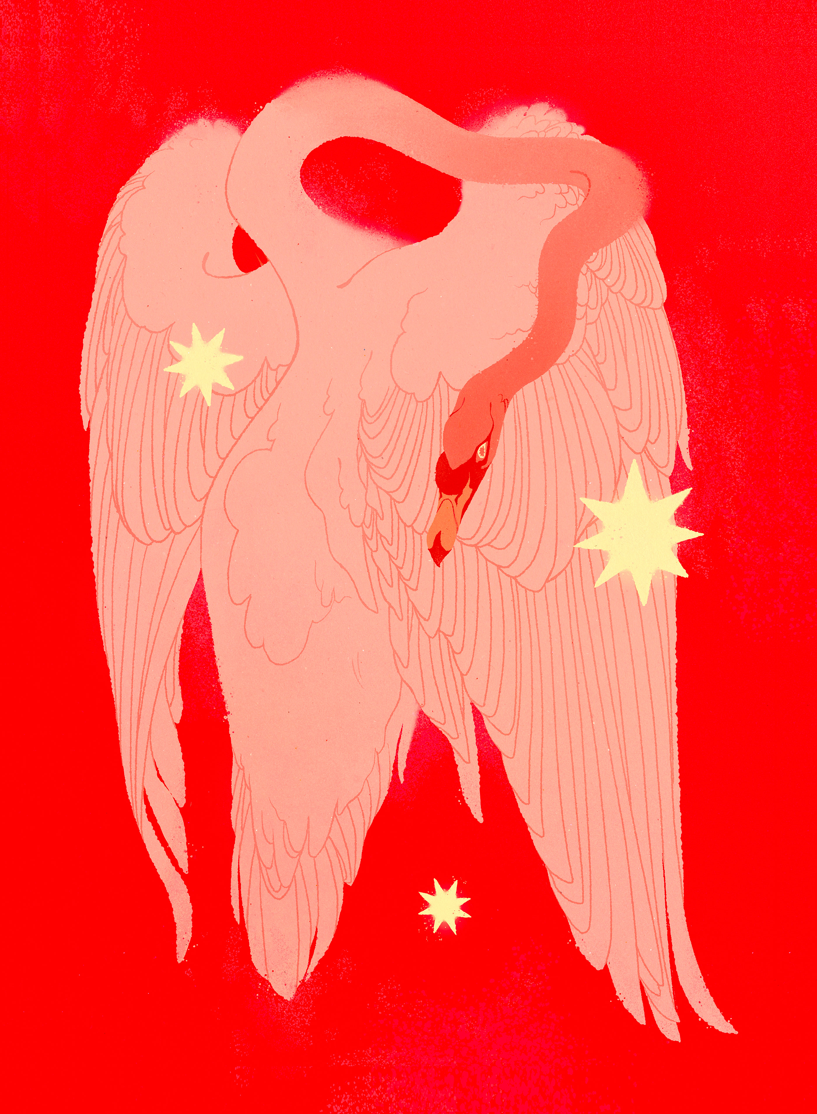 动物艺术黑色猫猫插图橙色莎曼莎泥静物白色-10.jpg