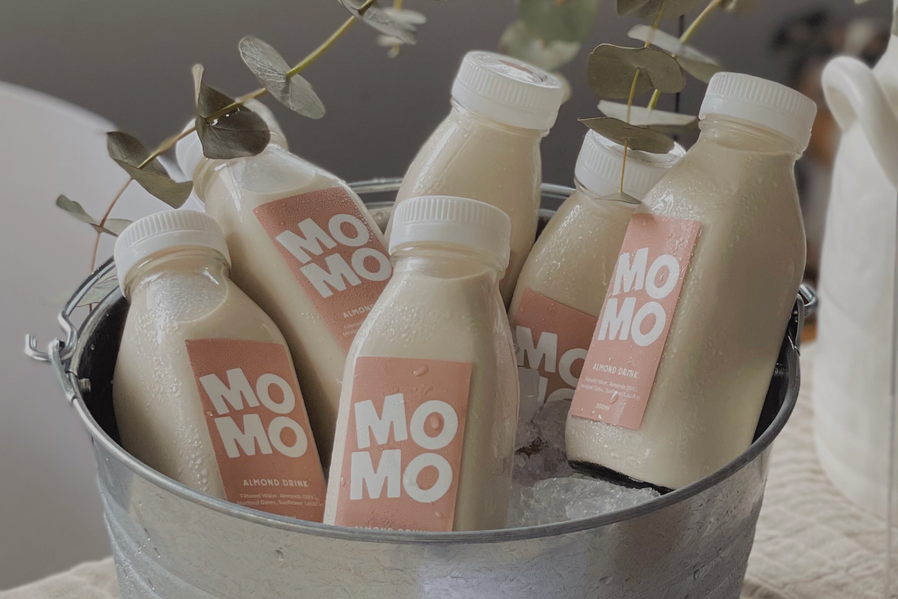 MOMO-14.png