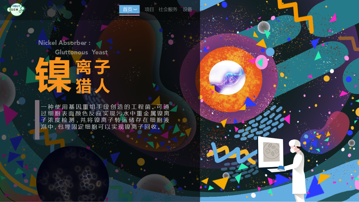1 主页banner.png