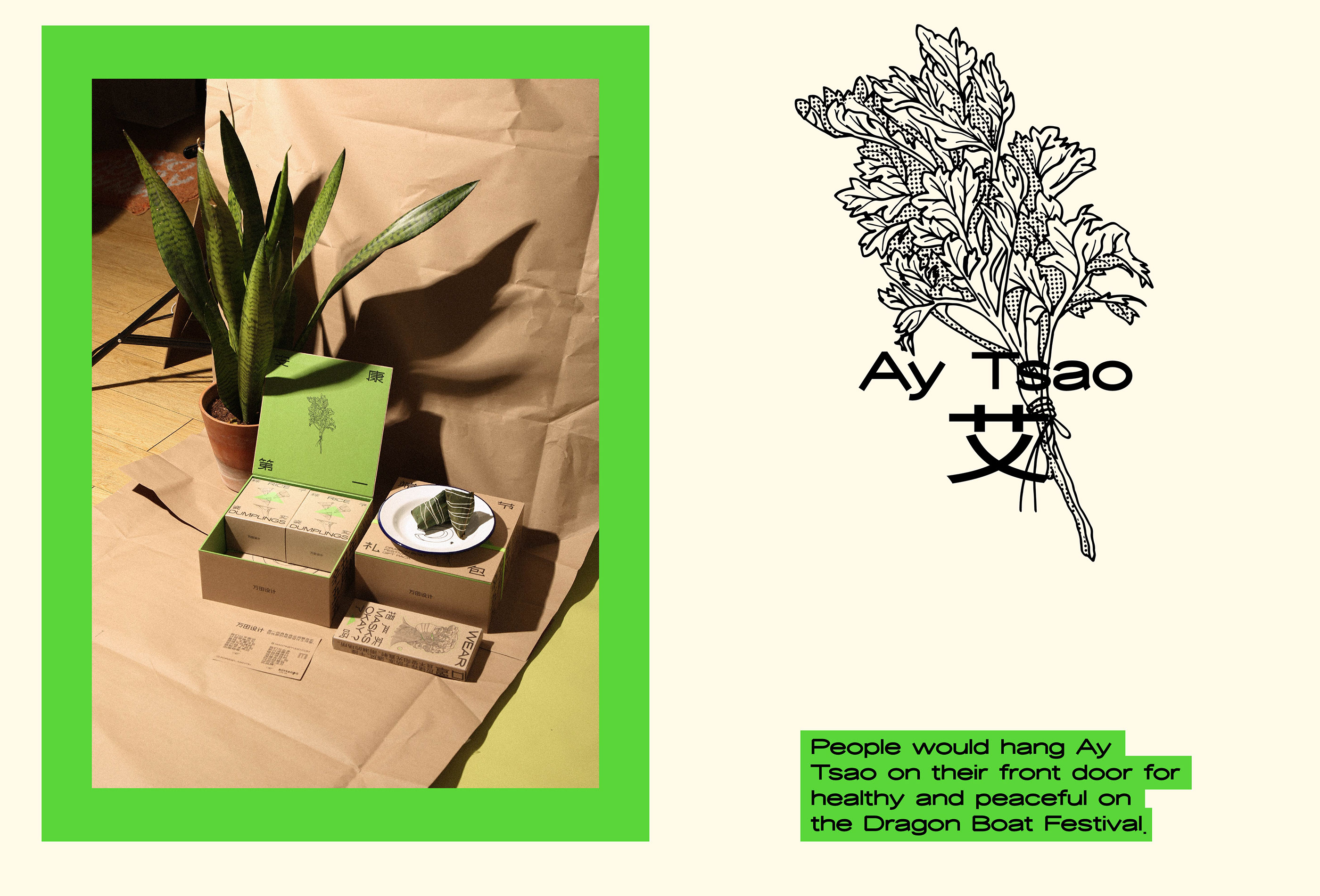 端午节礼品包装-10.jpg