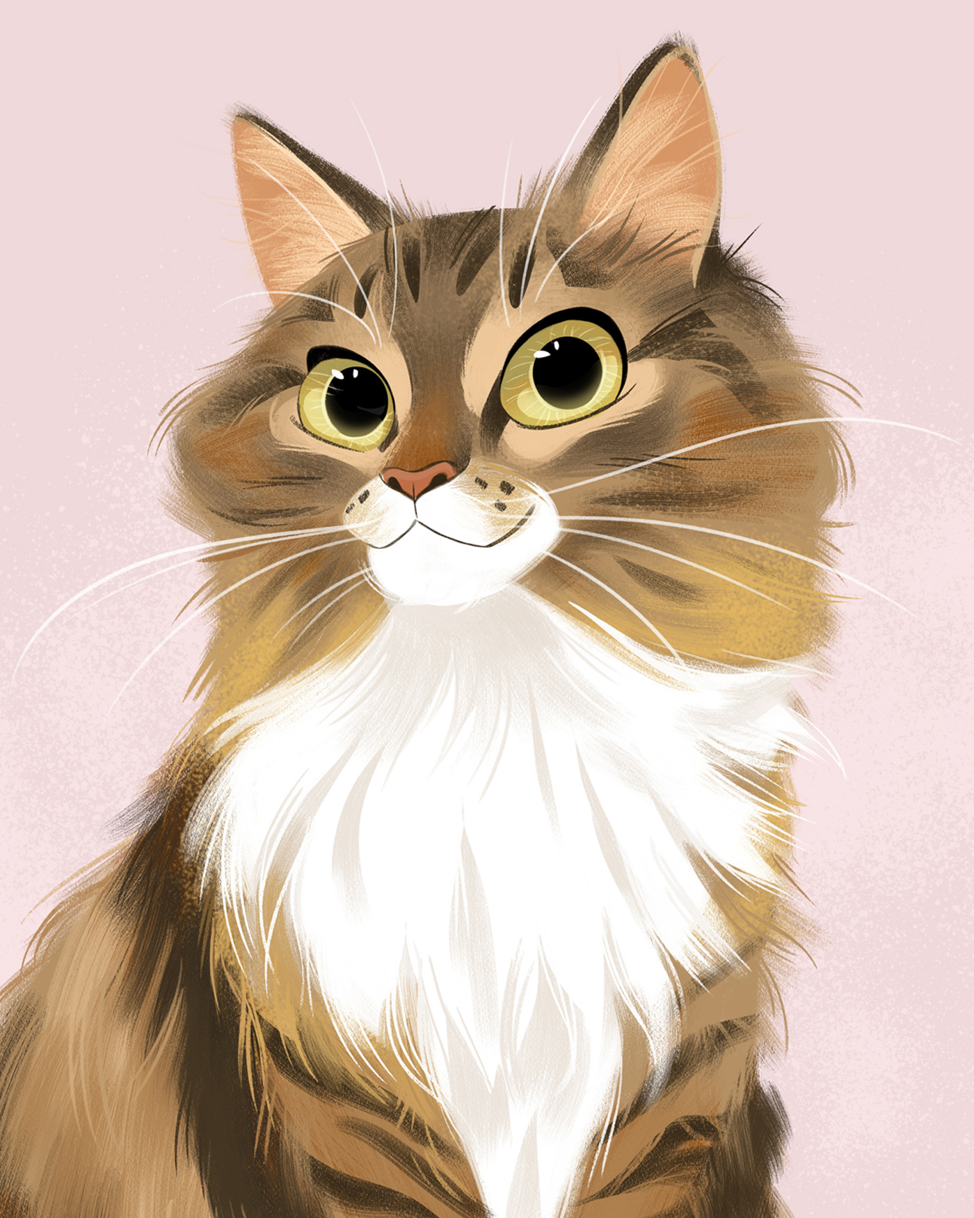 动物 动物艺术 猫 字体设计 说明 儿童文学 绘画 宠物 肖像 猫-01.jpg