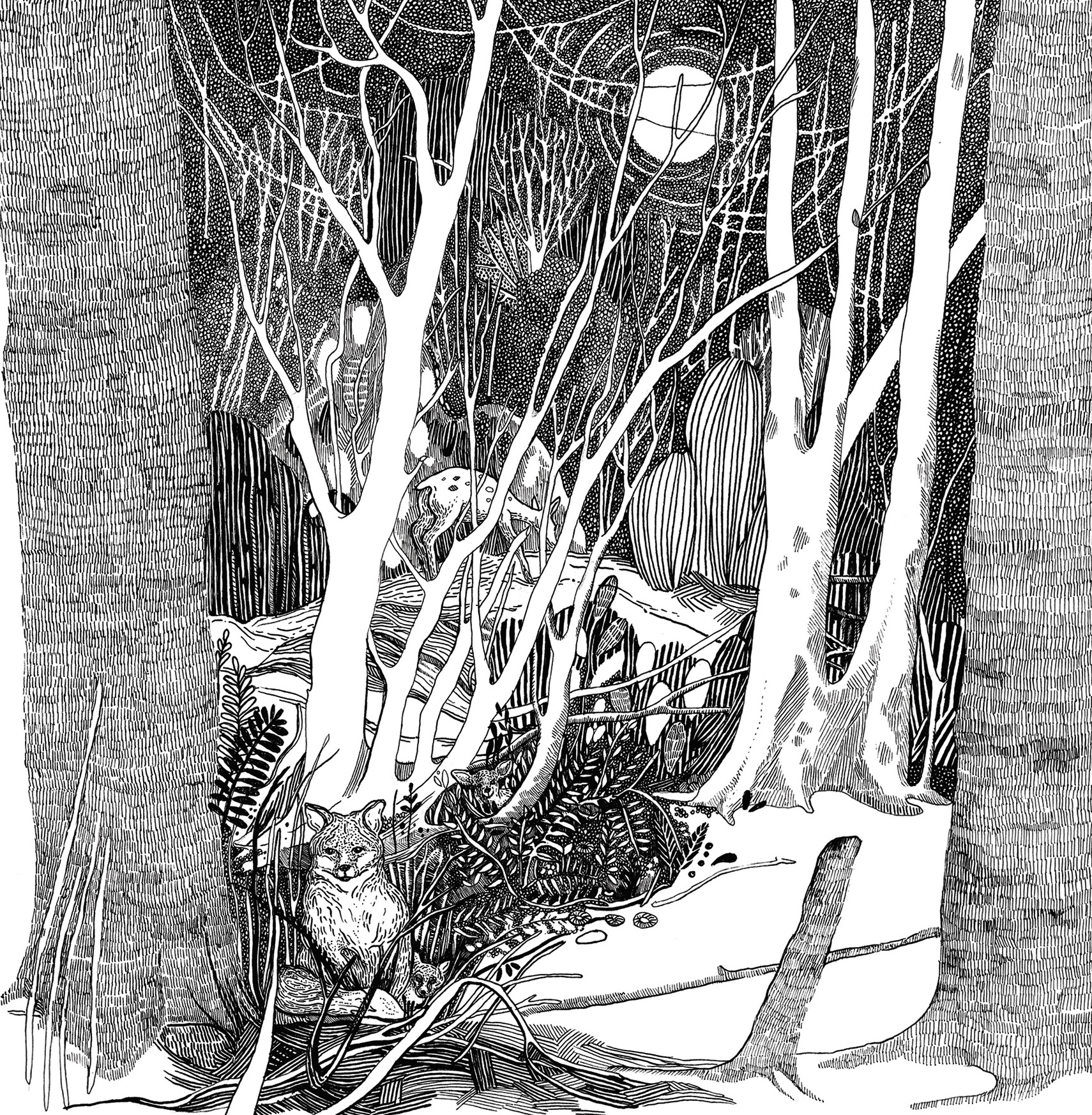森林故事-02.jpg