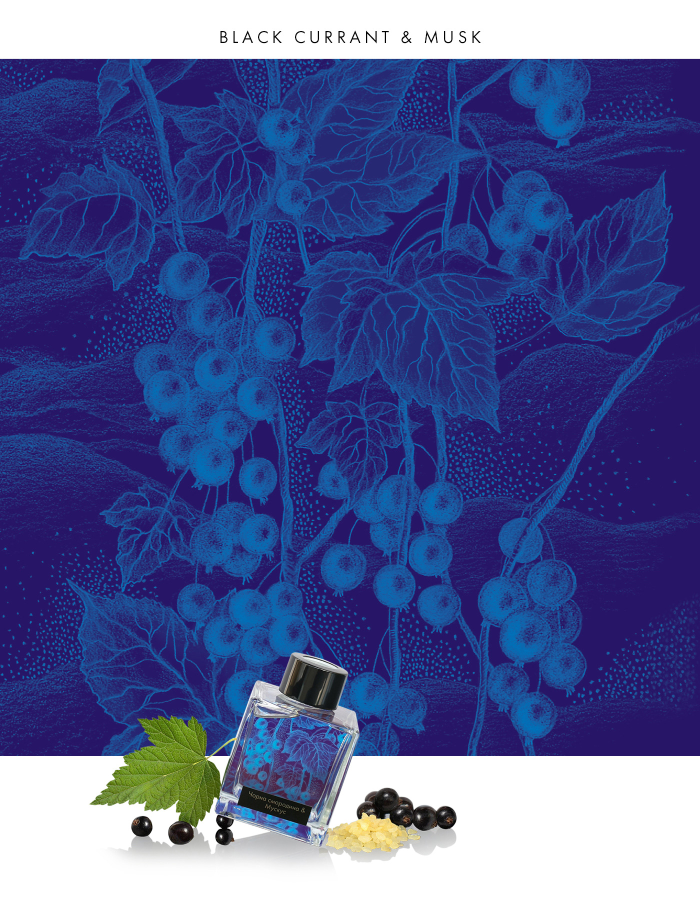 蜡烛香薰包装和标签设计-14.jpg