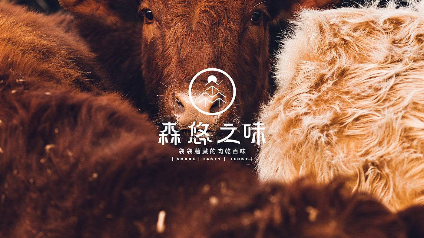 品牌设计 装帧设计艺术 标志；徽标 组装设计 视觉识别-01.jpg