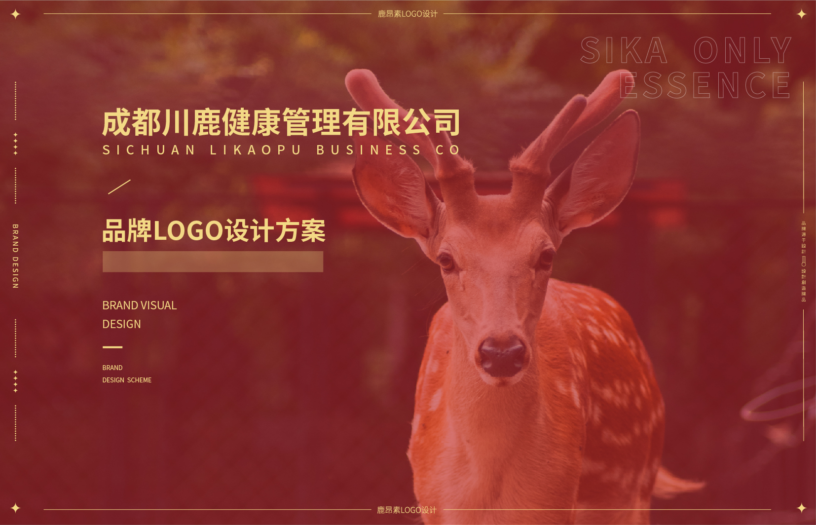 标准流程-01.jpg