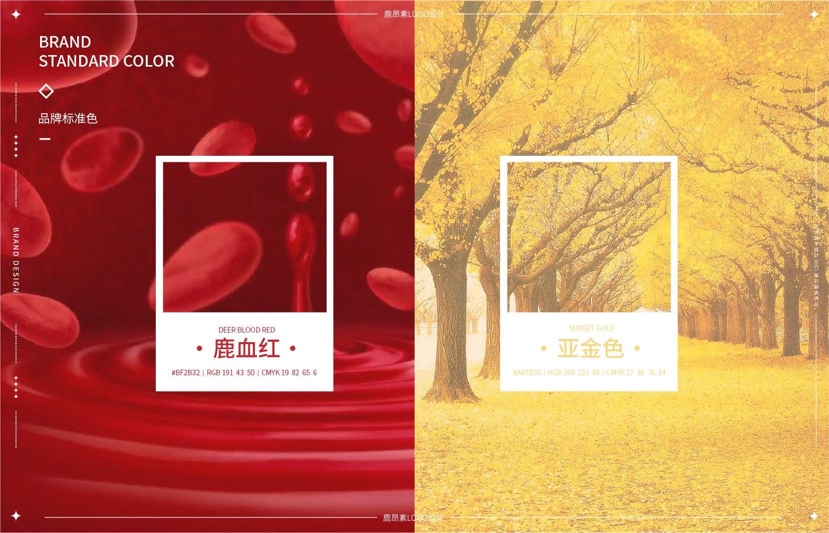标准流程-10.jpg