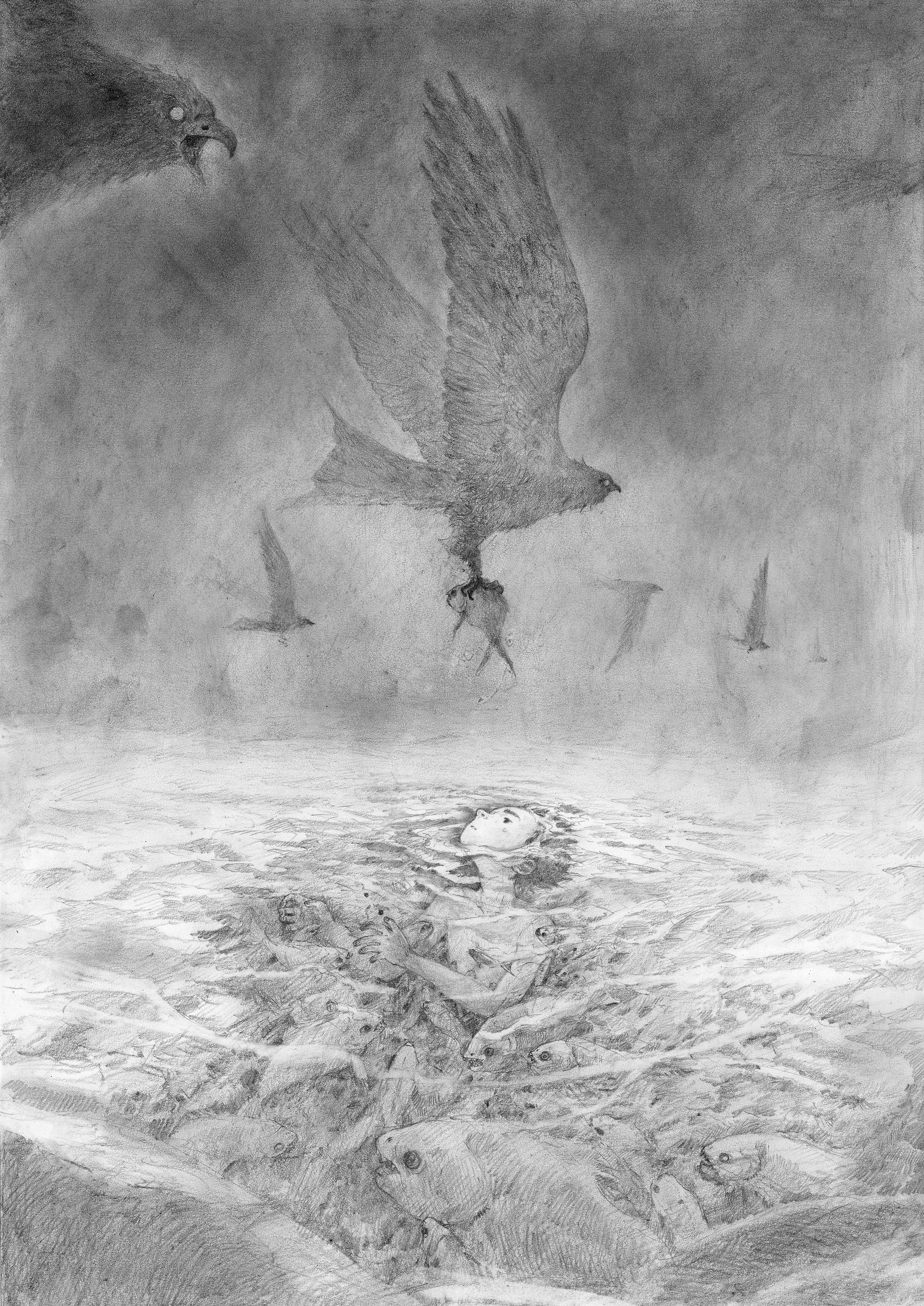 男孩与白狼的故事青春故事商业插画-06.jpg