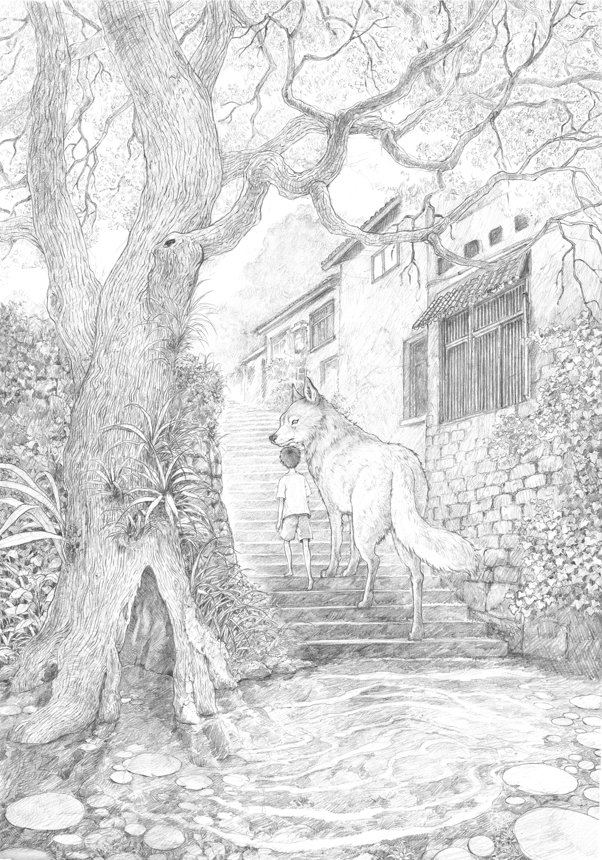 男孩与白狼的故事青春故事商业插画-08.jpg