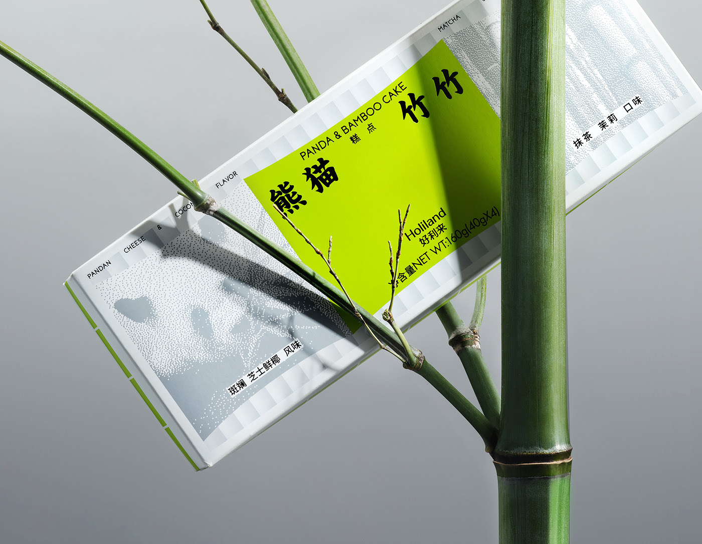 熊猫竹竹 &amp; 字在巴蜀-08.jpg