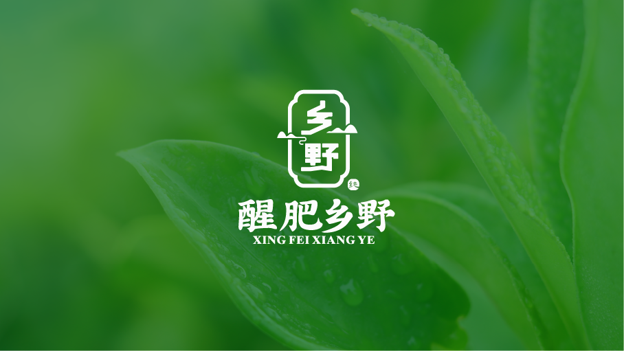 画板 1.png
