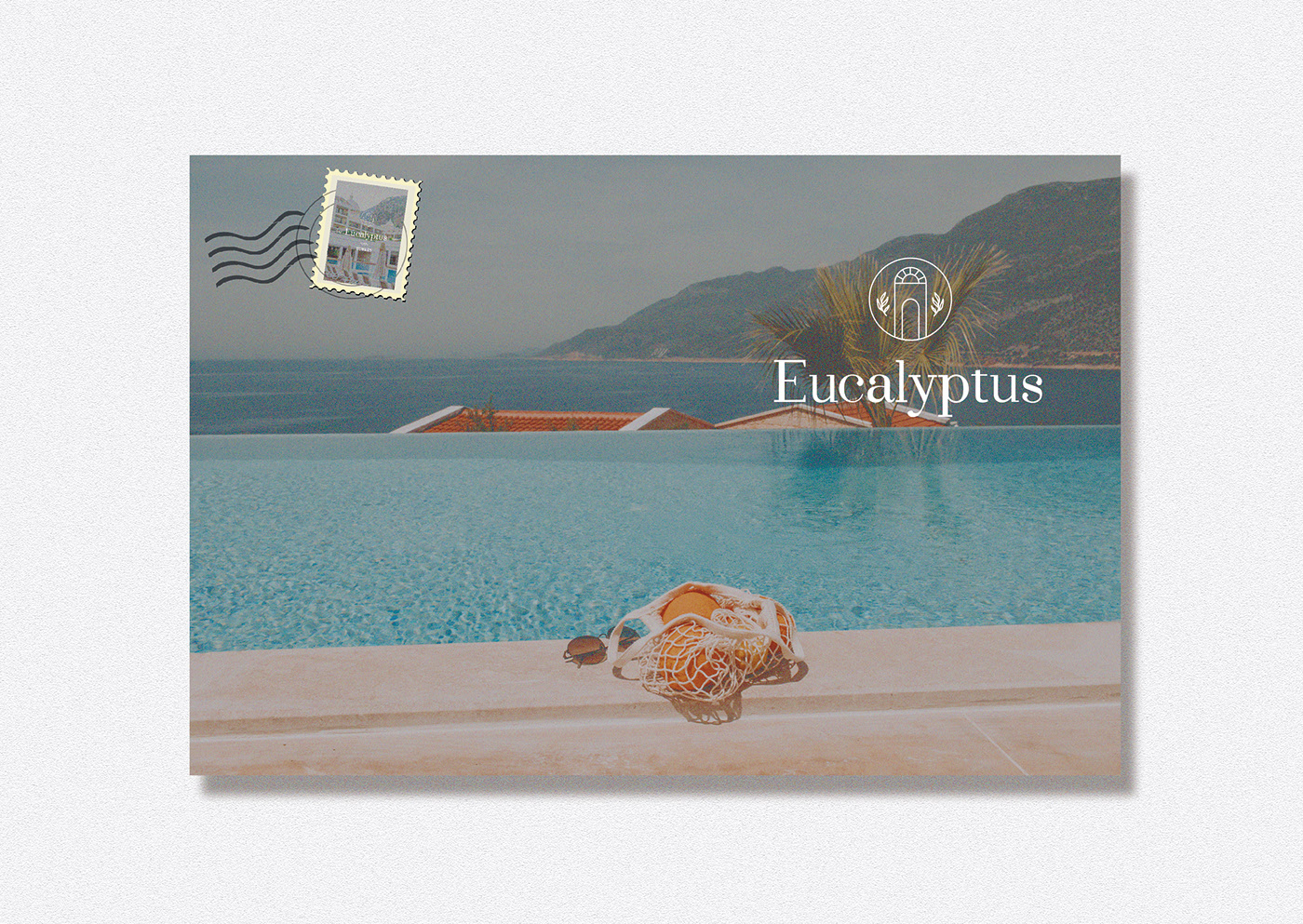 EUCALYPTUS公司-6.jpg
