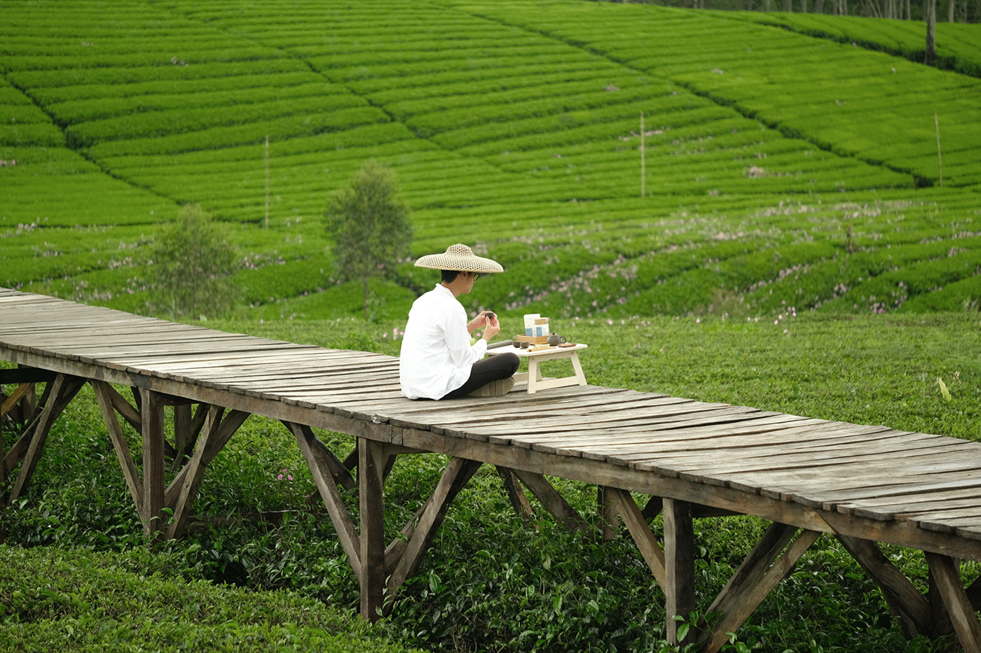 茶的天堂-31.jpg