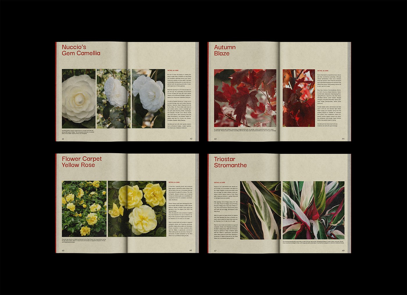 Flori -花卉植物工作室品牌视觉识别设计-25.jpg