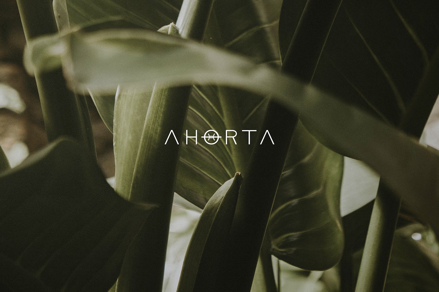 Horta品牌菜单设计-1.jpg