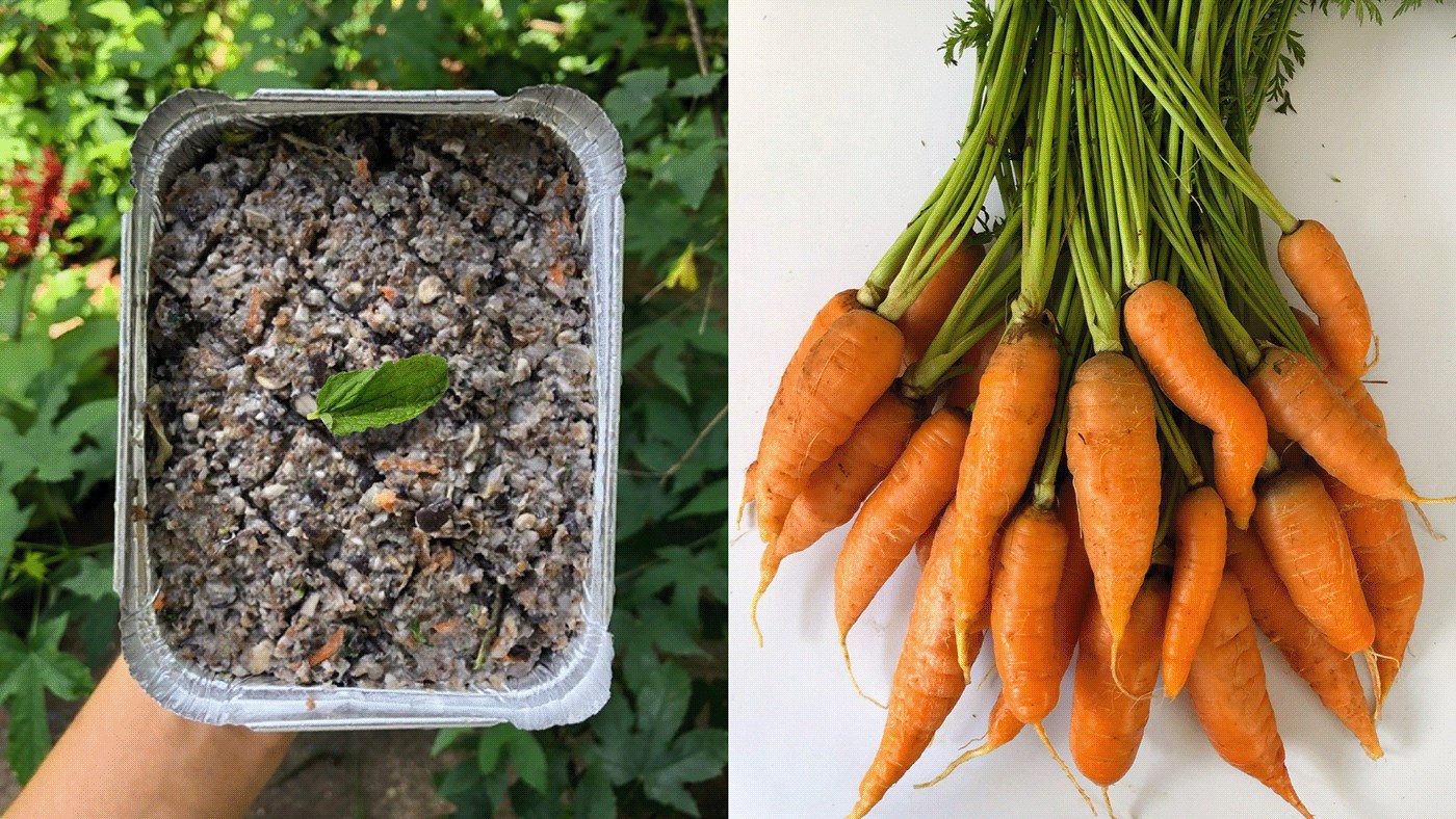 绿色的 汉堡 健康 说明 有机的 包装 植物 普兰塔 严格的素食主义者 素食者-05.jpg