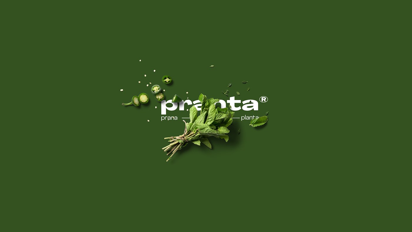 绿色的 汉堡 健康 说明 有机的 包装 植物 普兰塔 严格的素食主义者 素食者-14.jpg