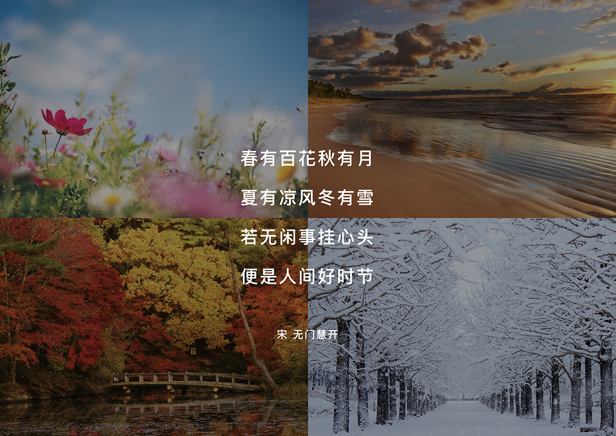 包装设计 品牌设计 杨松耀&amp;苏素-11.jpg