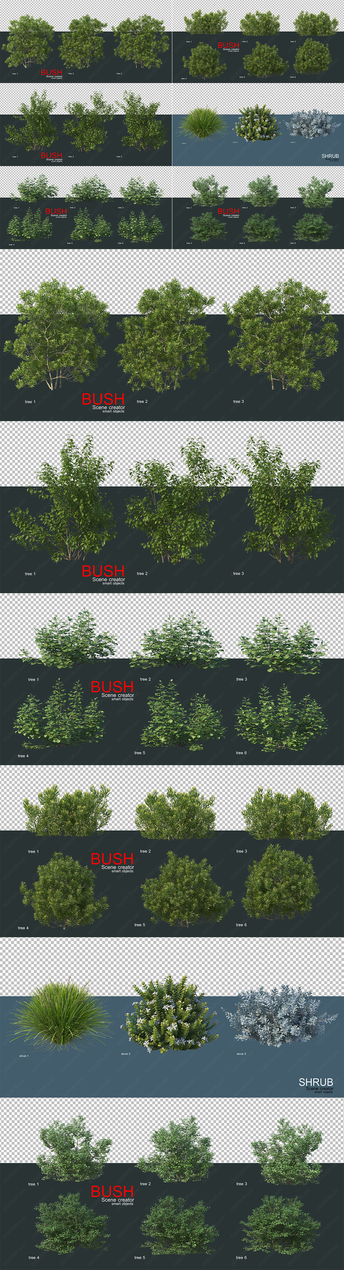 6种绿色灌木景观植物模型PSD素材.jpg
