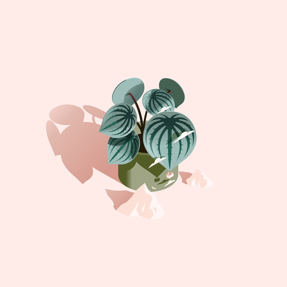 植物-06.jpg