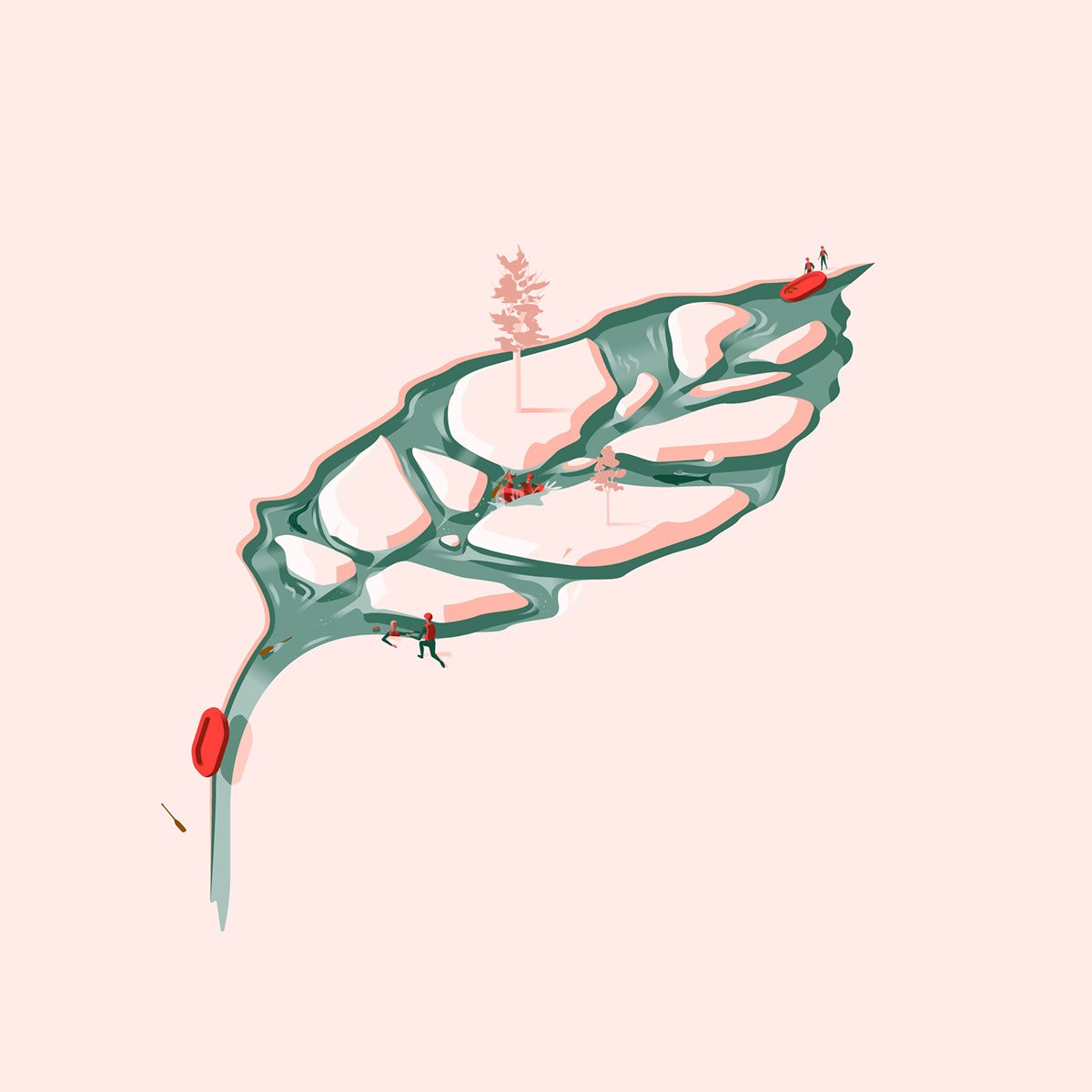 植物-10.jpg