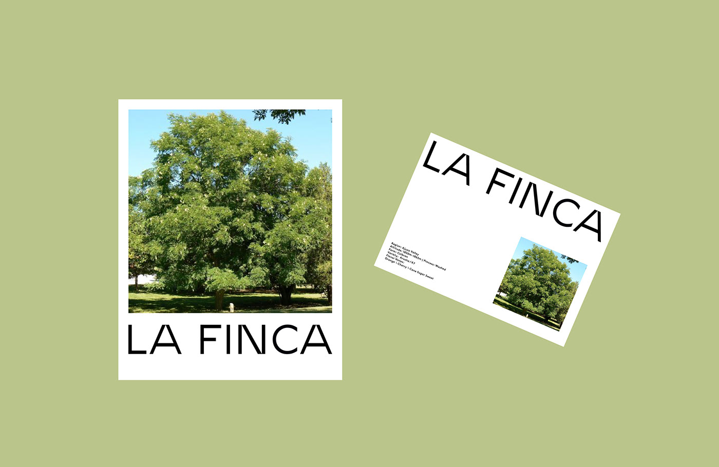 LA FINCA视觉识别与包装设计-05.jpg