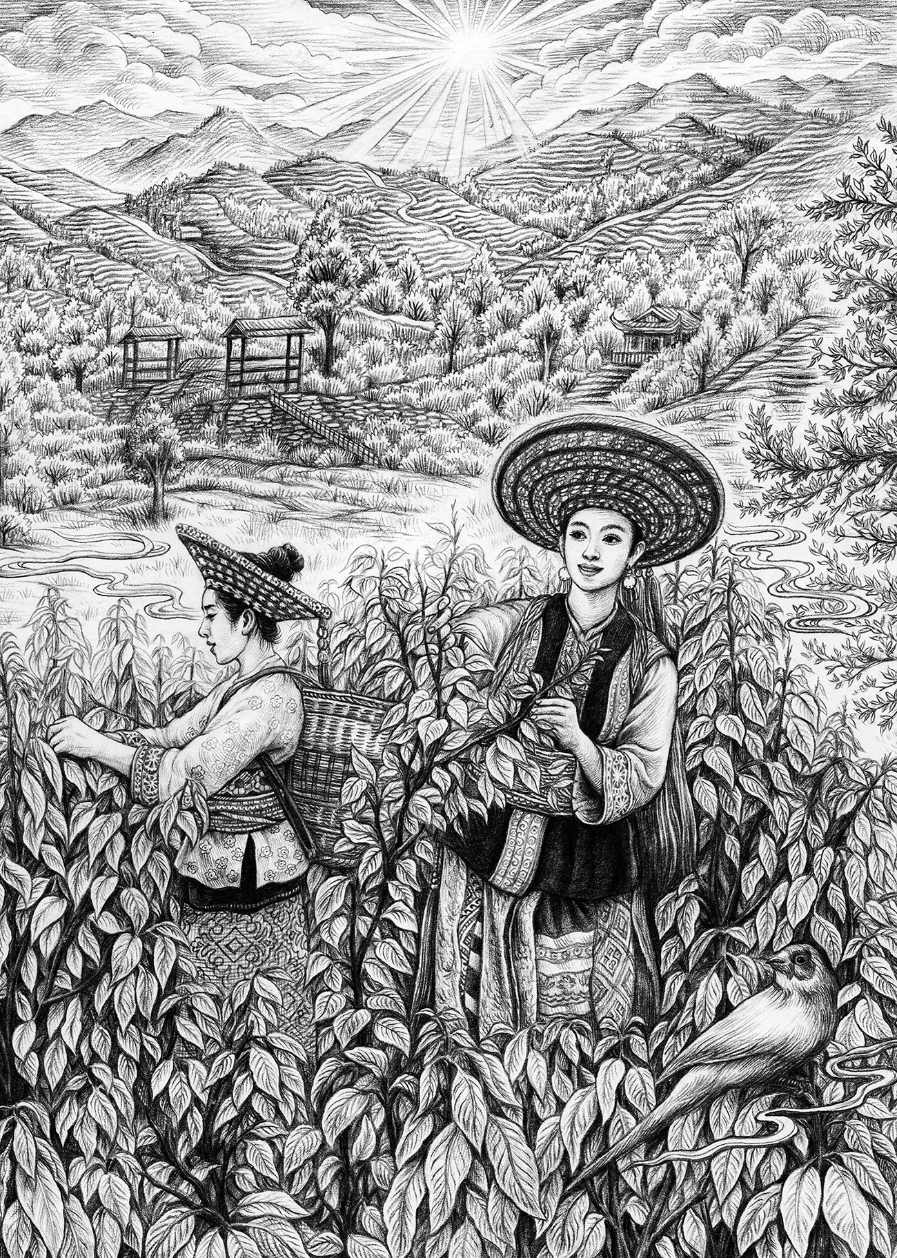 为“木姜叶柯 花瑶的茶”绘制的长卷包装图-04.jpg