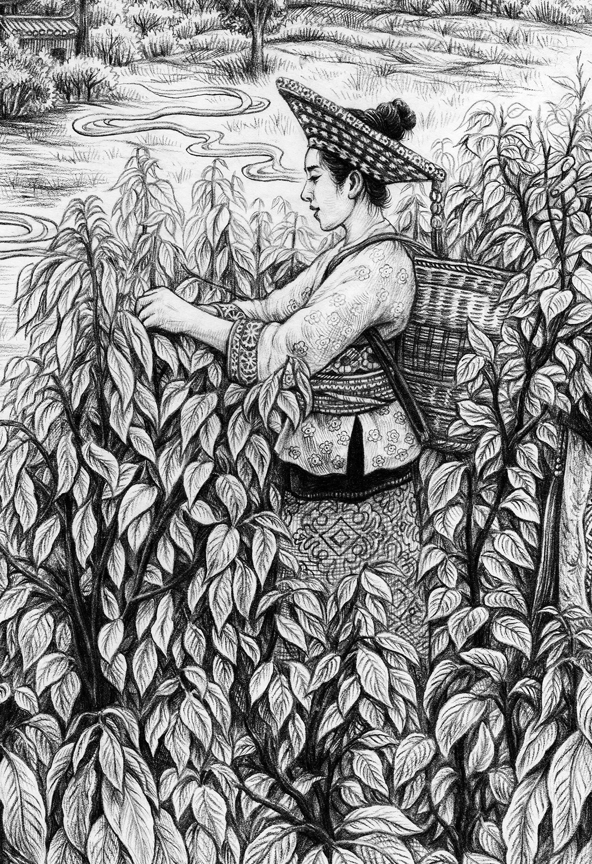 为“木姜叶柯 花瑶的茶”绘制的长卷包装图-09.jpg