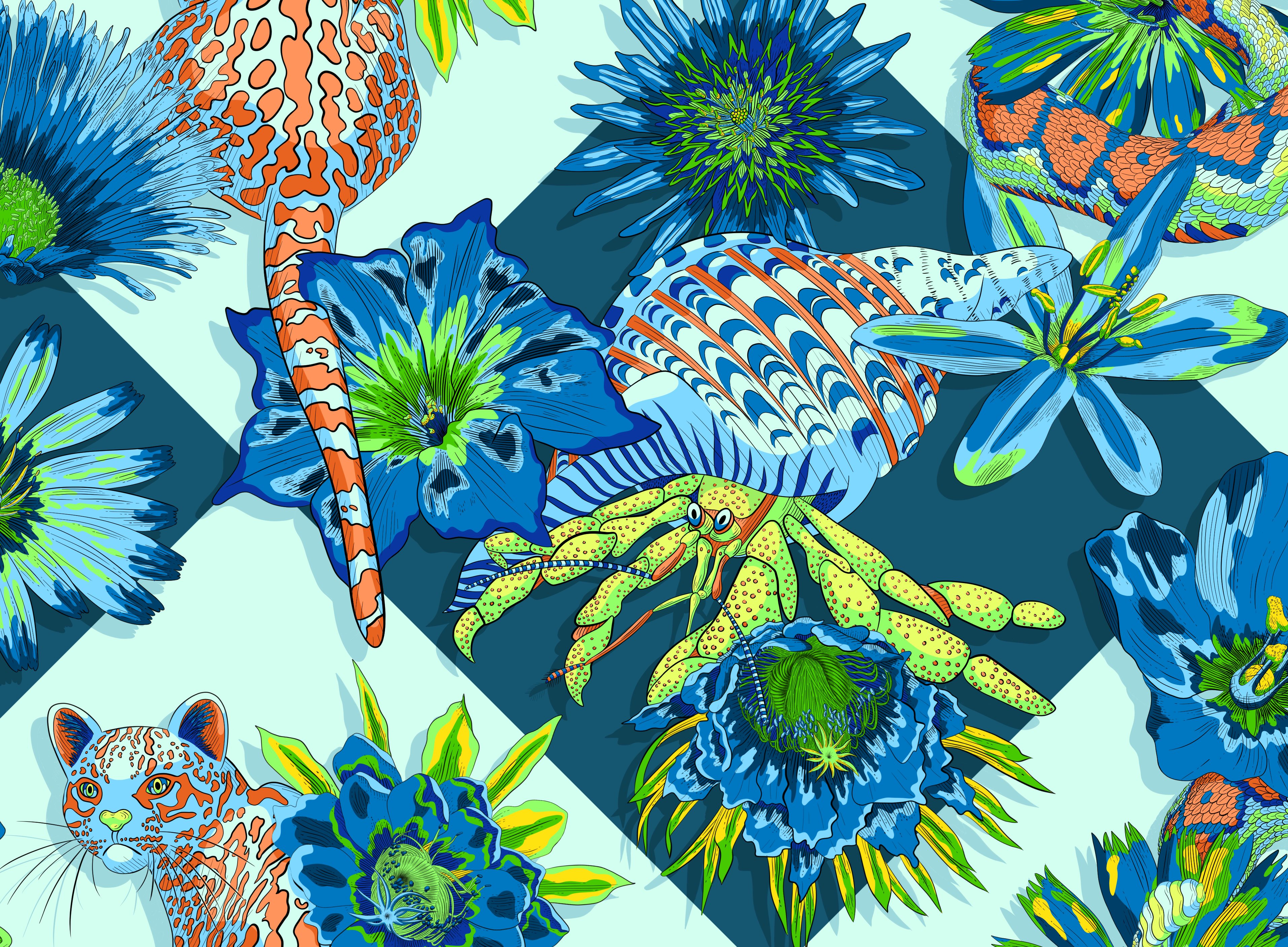 艺术 颜色 花的 花卉 插图 奢华 自然 图案 纺织品 墙纸-11.jpg