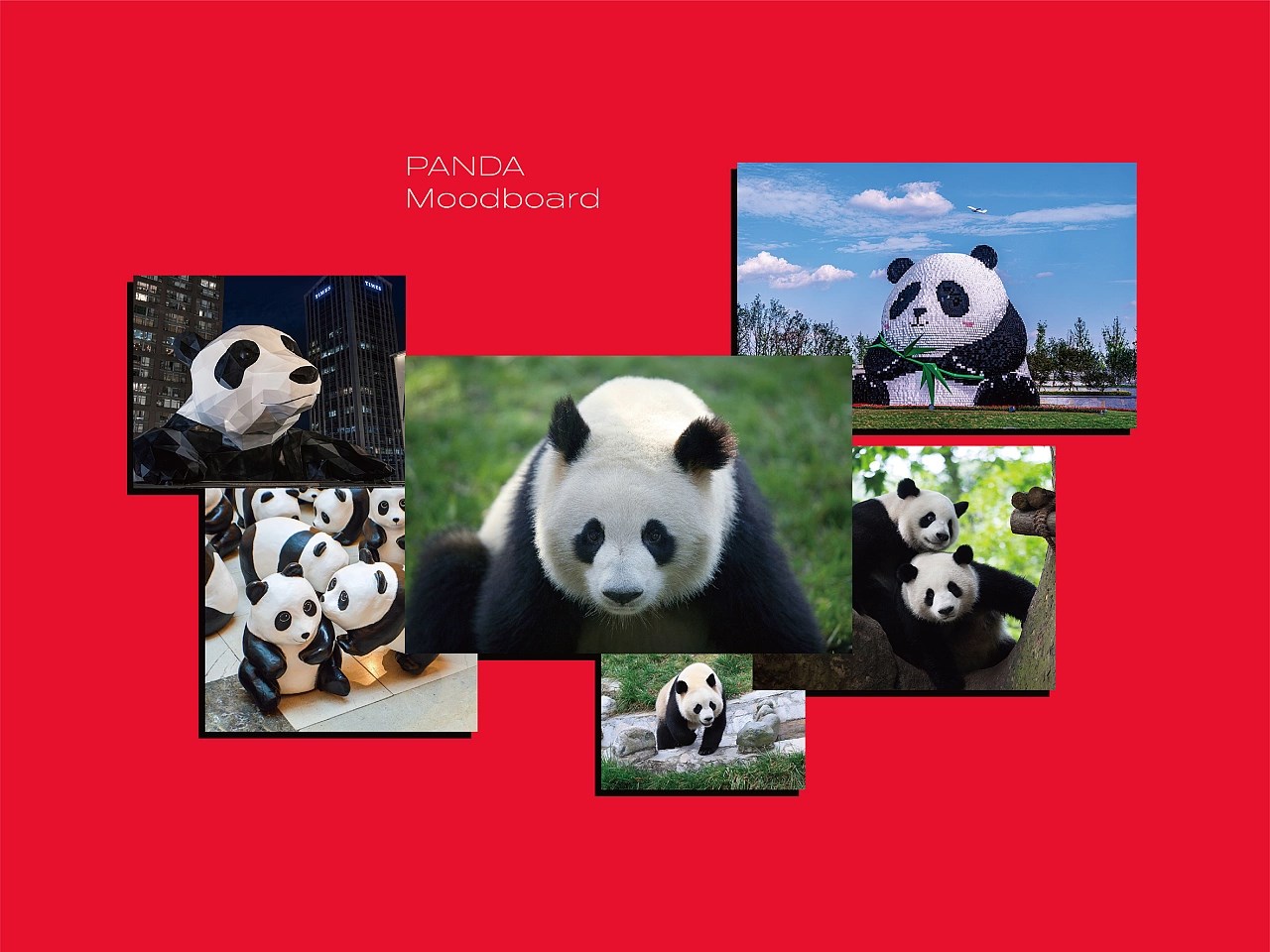 PANDA Play潘达潮玩 logo&amp;IP品牌全案升级-05.jpg