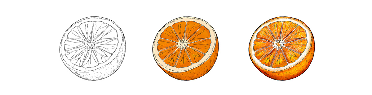 食品插画包装设计（一） 美国-Maggie Enterrios [33P] (21).jpg