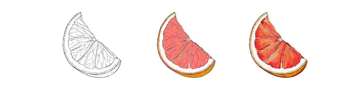食品插画包装设计（一） 美国-Maggie Enterrios [33P] (32).jpg