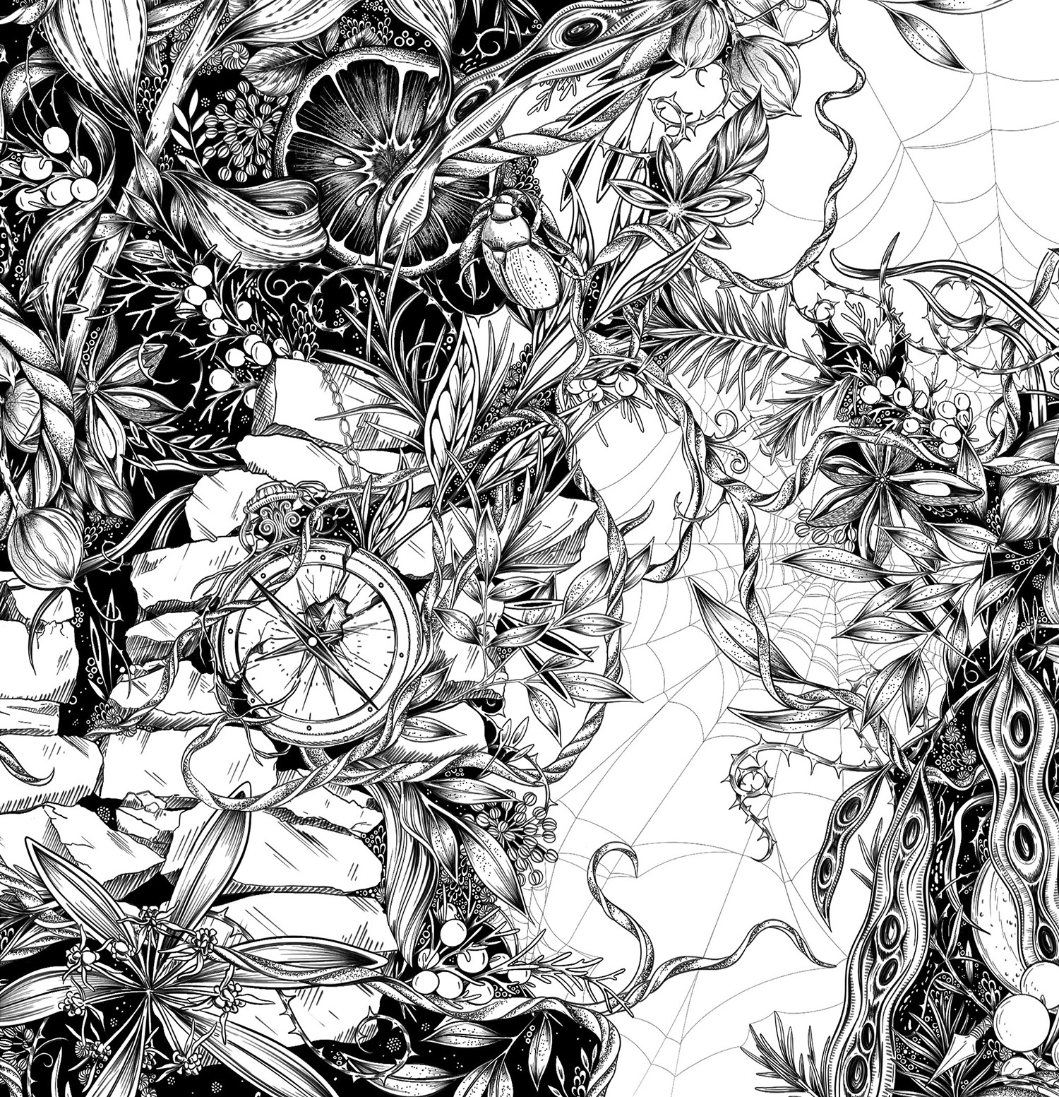 食品插画包装设计（二） 美国-Maggie Enterrios [31P] (18).jpg