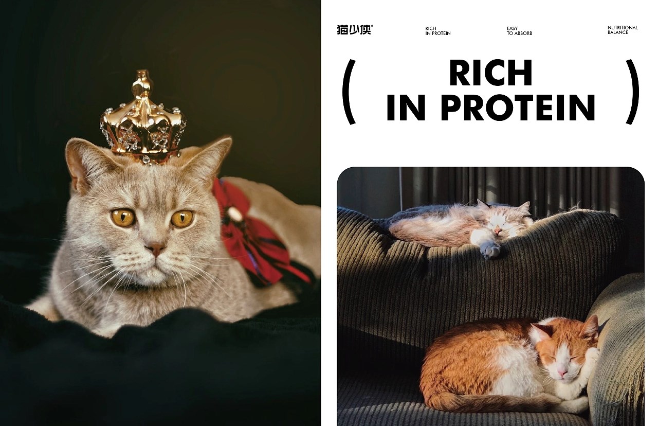 猫粮品牌设计-猫少侠 郑州-万有引力品牌设计 [48P] (11).jpg