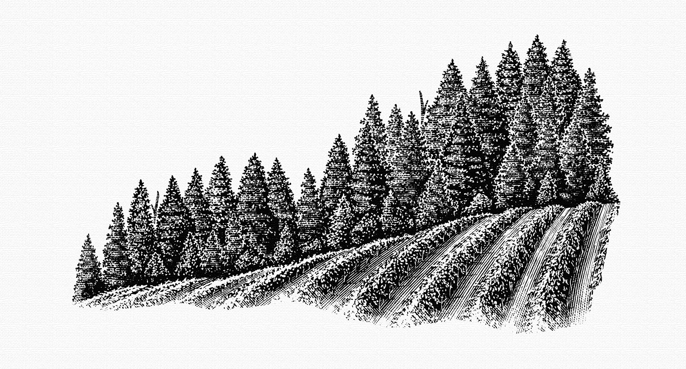 版画标签和设计应用(三) 美国-Steven Noble [26P] (20).jpg