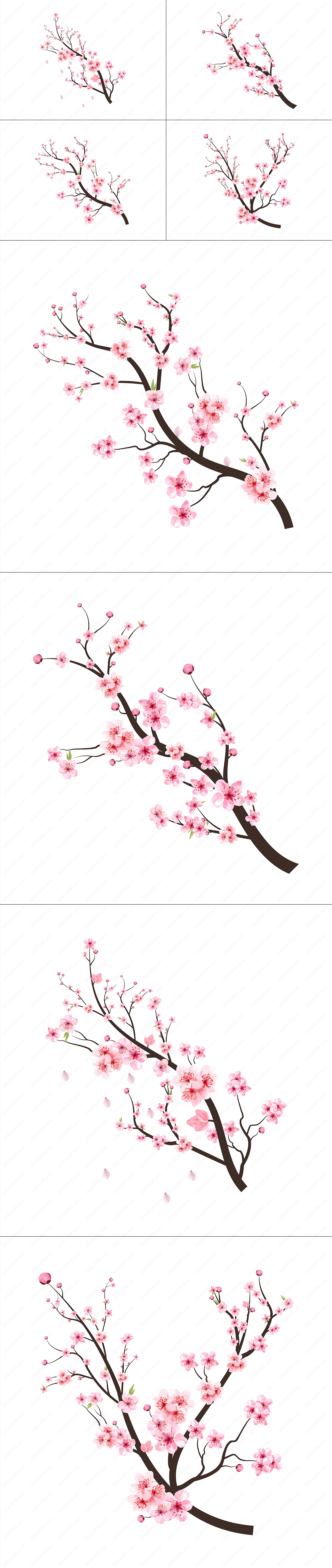 4款粉色水彩梅花枝樱花矢量插画素材-VOL-02.jpg