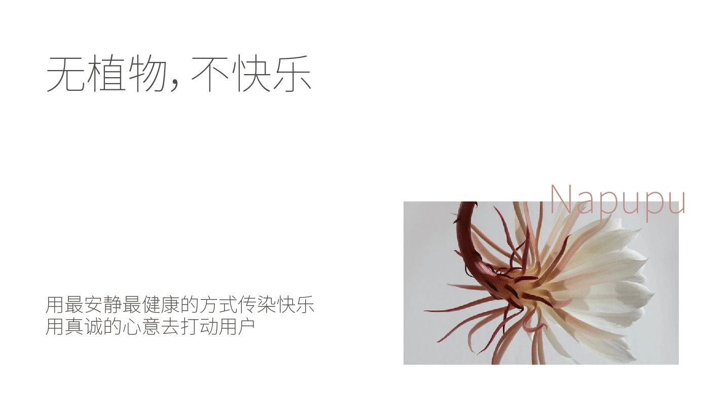 LOGO设计 vi设计 包装设计 咖啡LOGO 花店LOGO-02.jpg