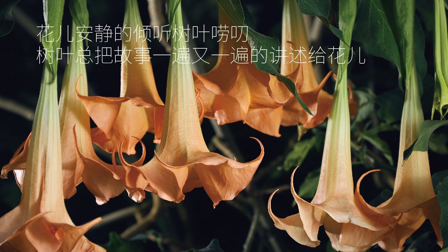 LOGO设计 vi设计 包装设计 咖啡LOGO 花店LOGO-06.jpg