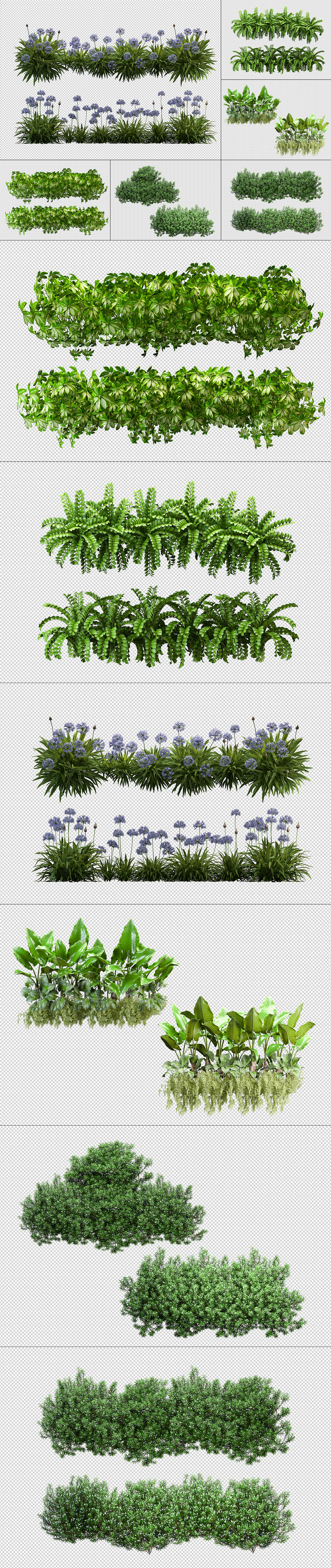 6种绿色草本植物叶子透明园林景观设计PSD素材-VOL-10.jpg