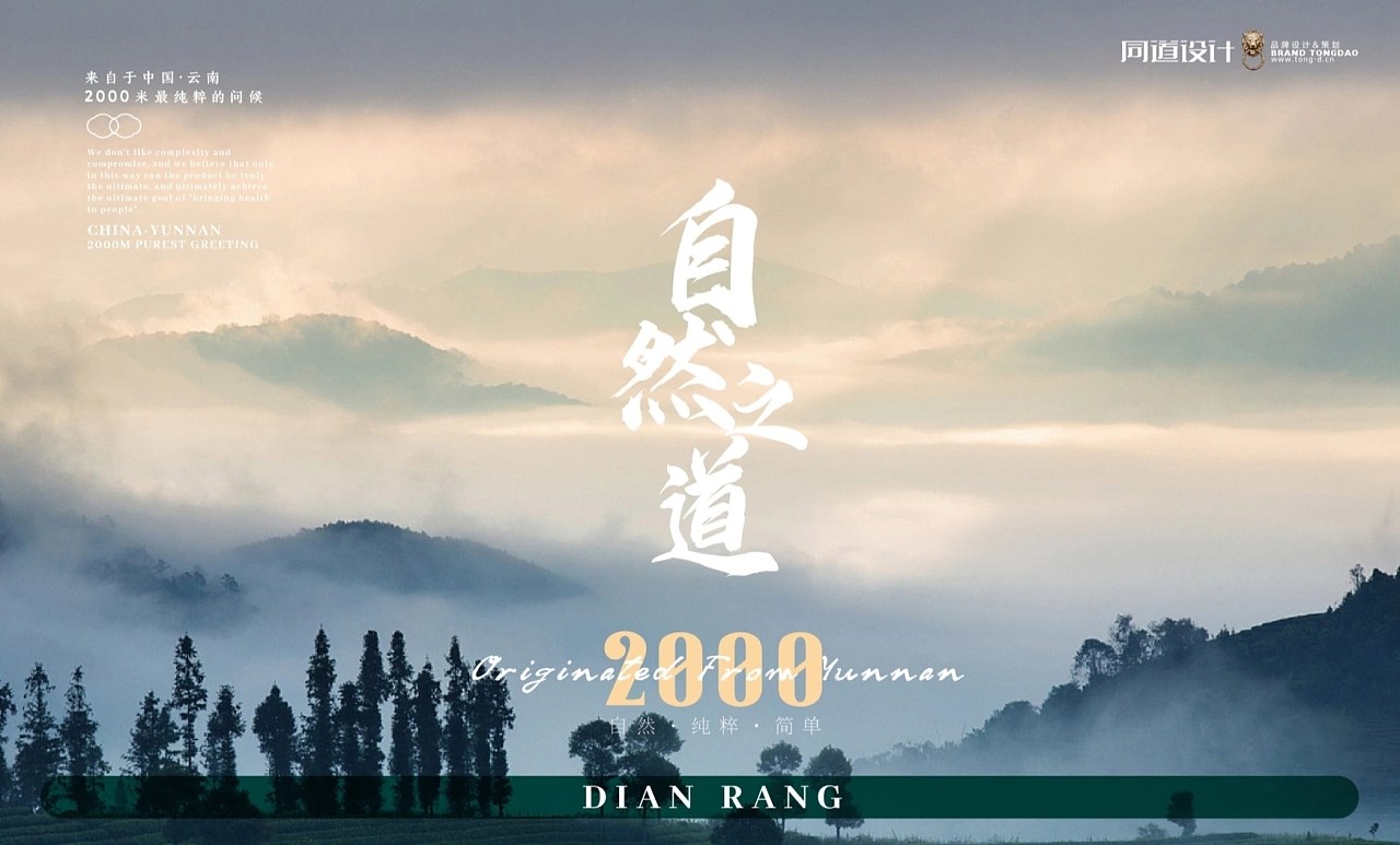山葵泥食品包装设计 大连-张博ZHANGBO2018 [24P] (1).jpg
