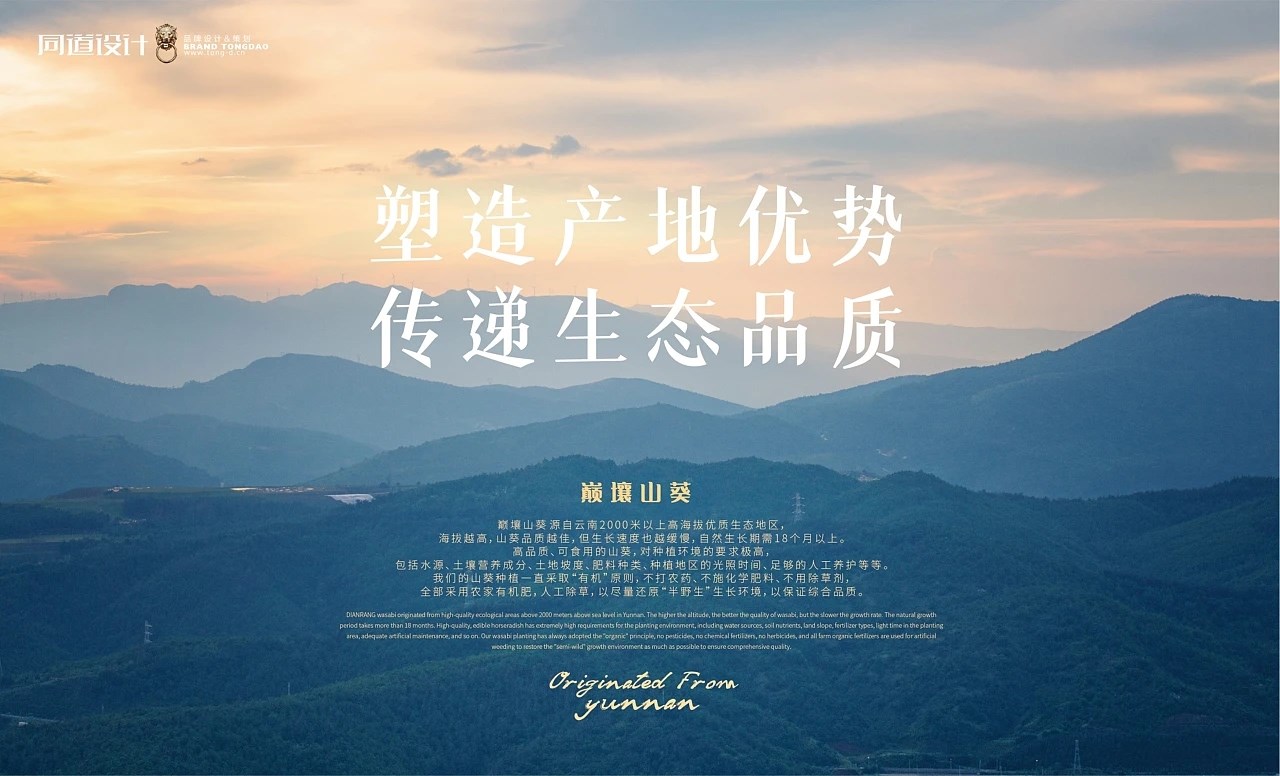 山葵泥食品包装设计 大连-张博ZHANGBO2018 [24P] (2).jpg
