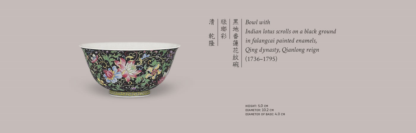 台湾的土地与风味滴滤咖啡系列 台湾的土地和风情-11.jpg