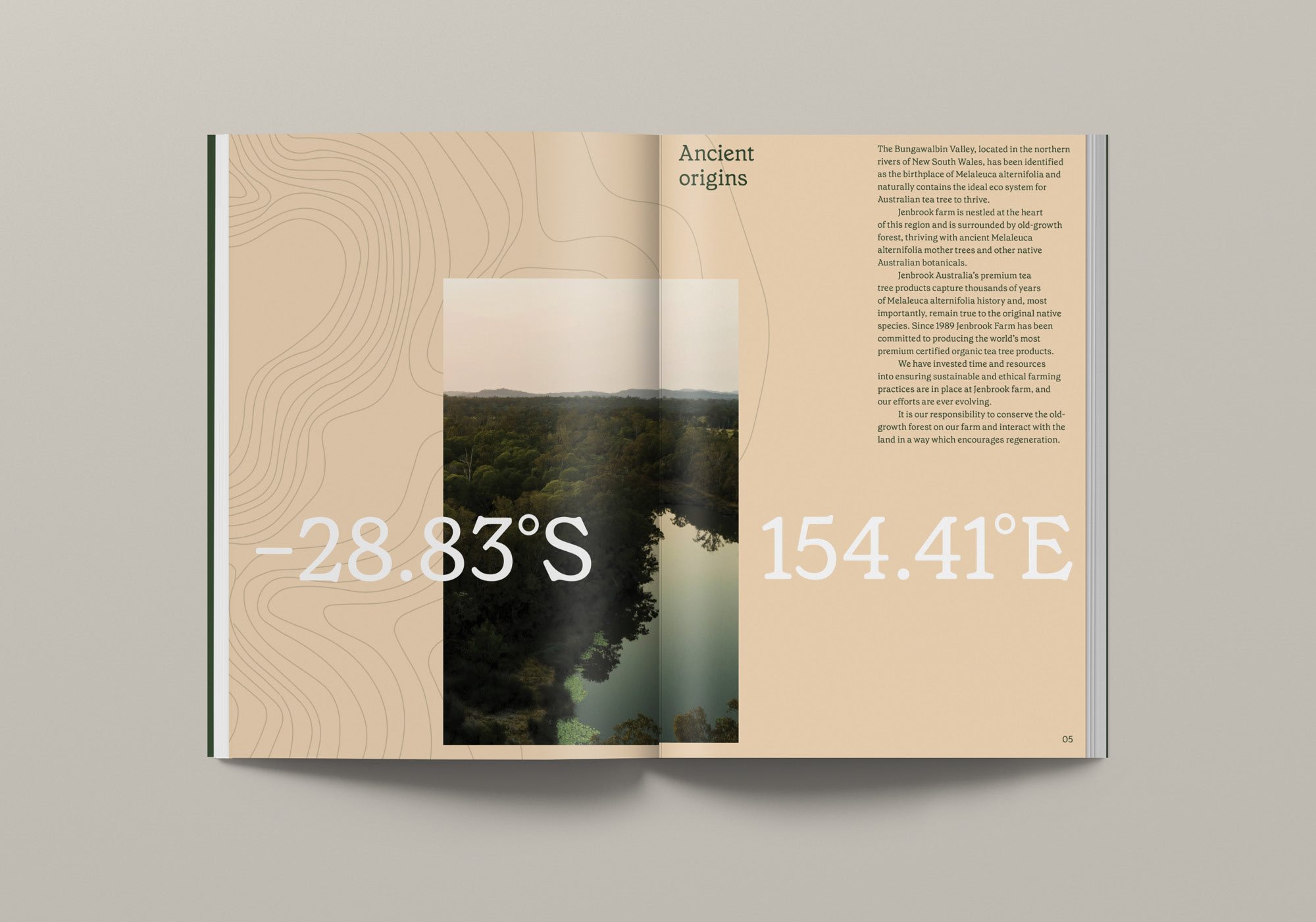 植物药 品牌标识 朴实的 精油 标志设计 最小的 柔和的颜色 自然的 茶树-06.jpg