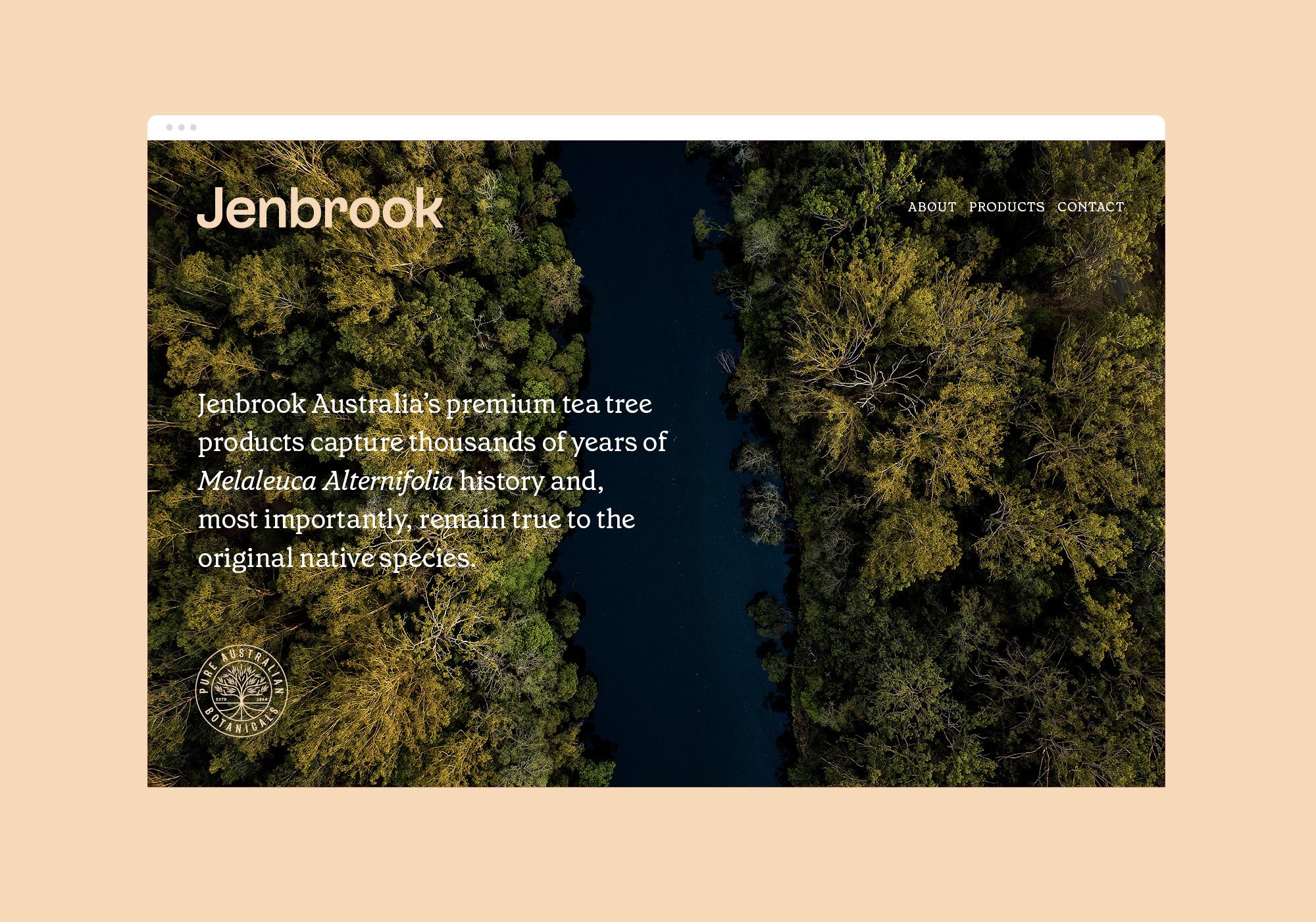 植物药 品牌标识 朴实的 精油 标志设计 最小的 柔和的颜色 自然的 茶树-12.jpg