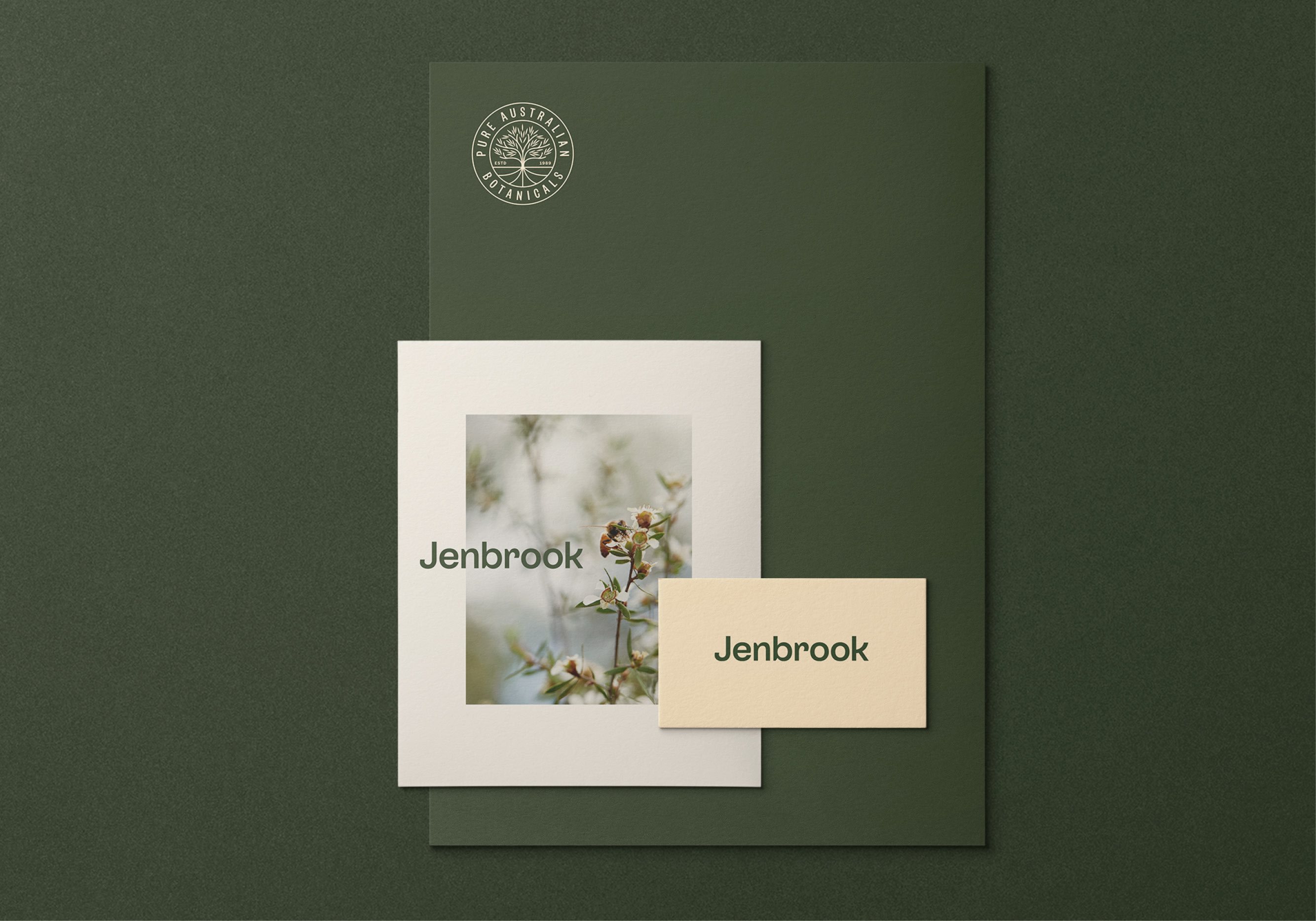 植物药 品牌标识 朴实的 精油 标志设计 最小的 柔和的颜色 自然的 茶树-13.jpg