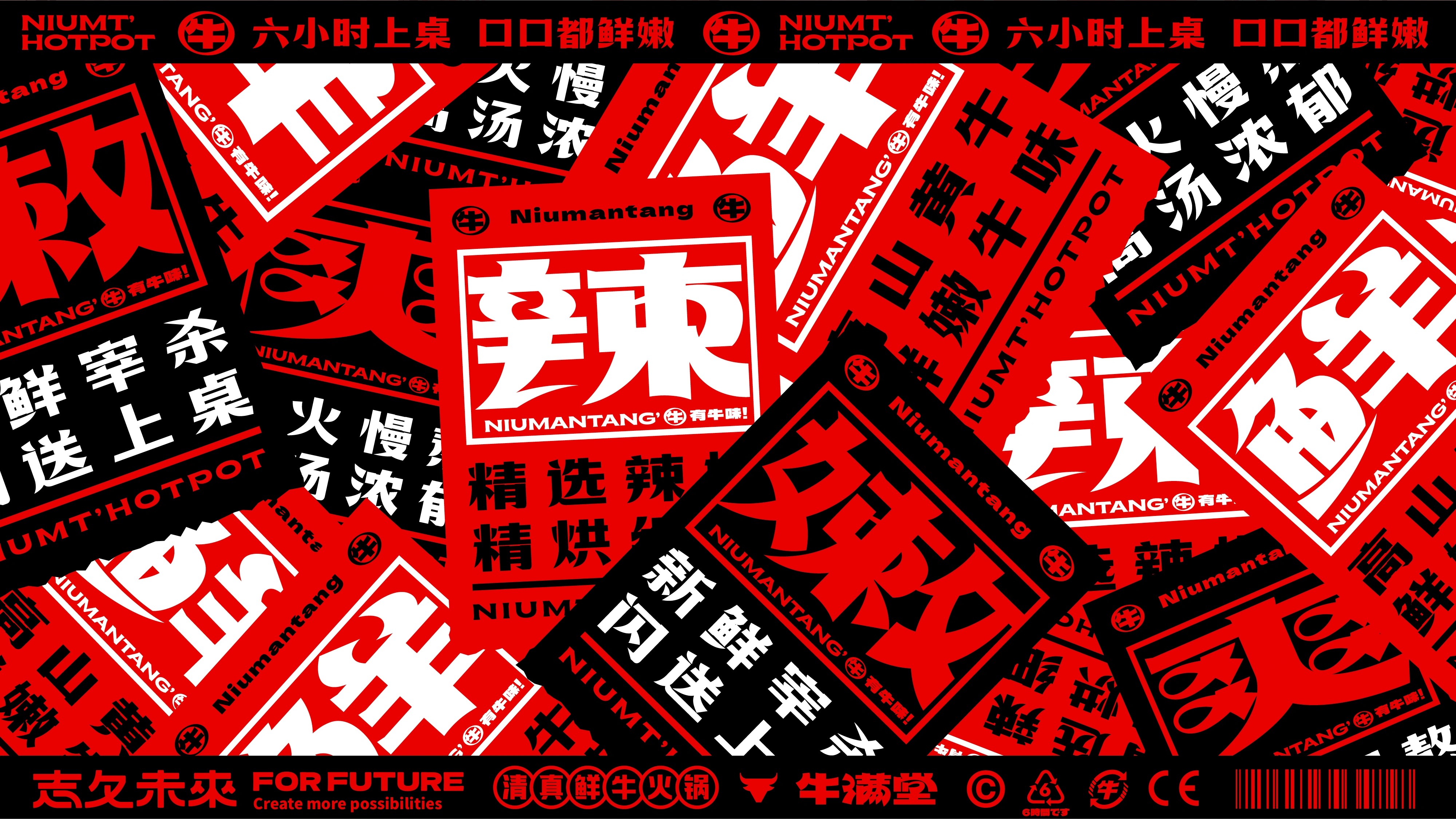 每天一头牛 新鲜不隔夜-11.jpg