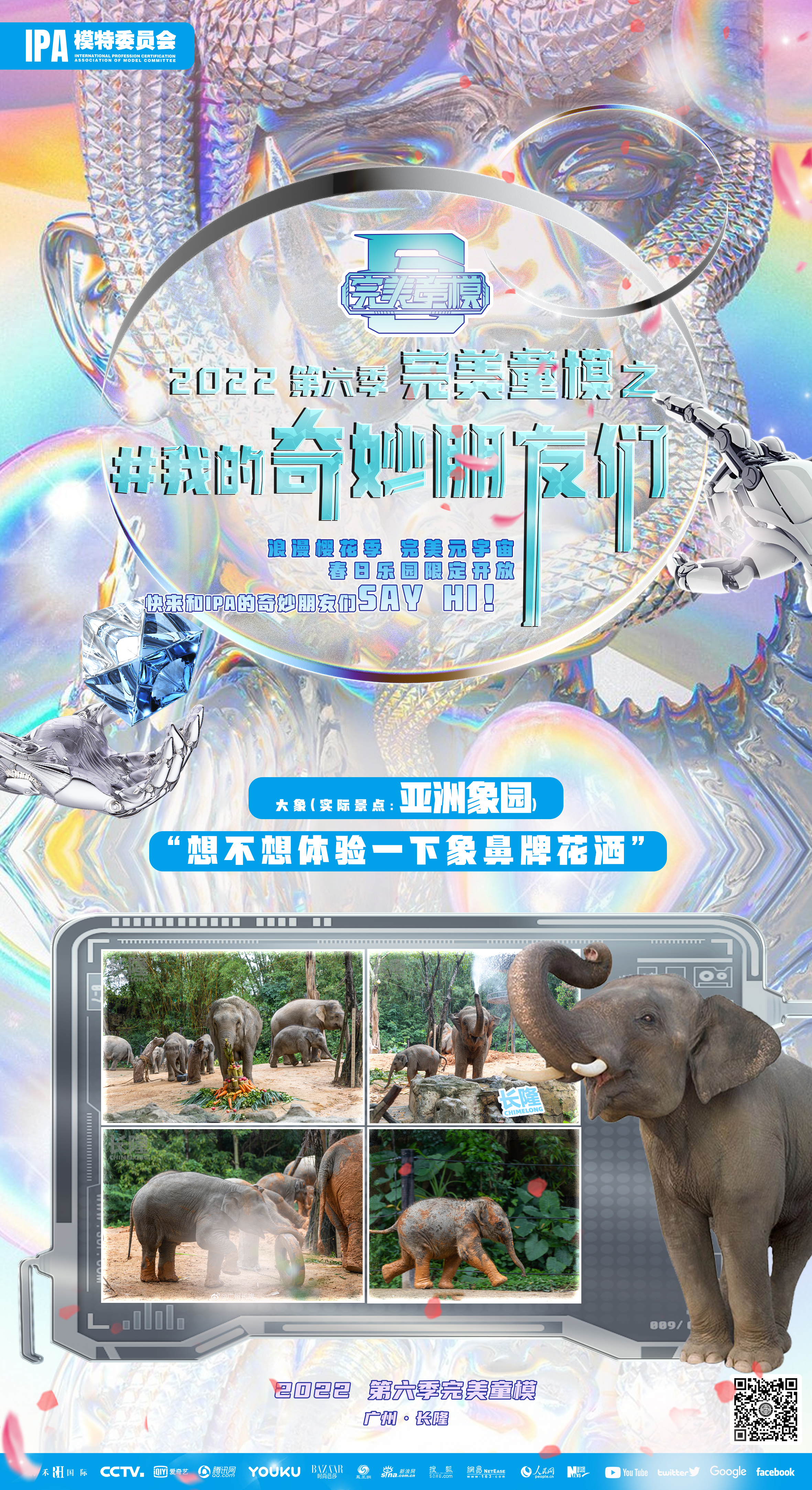 大象.jpg