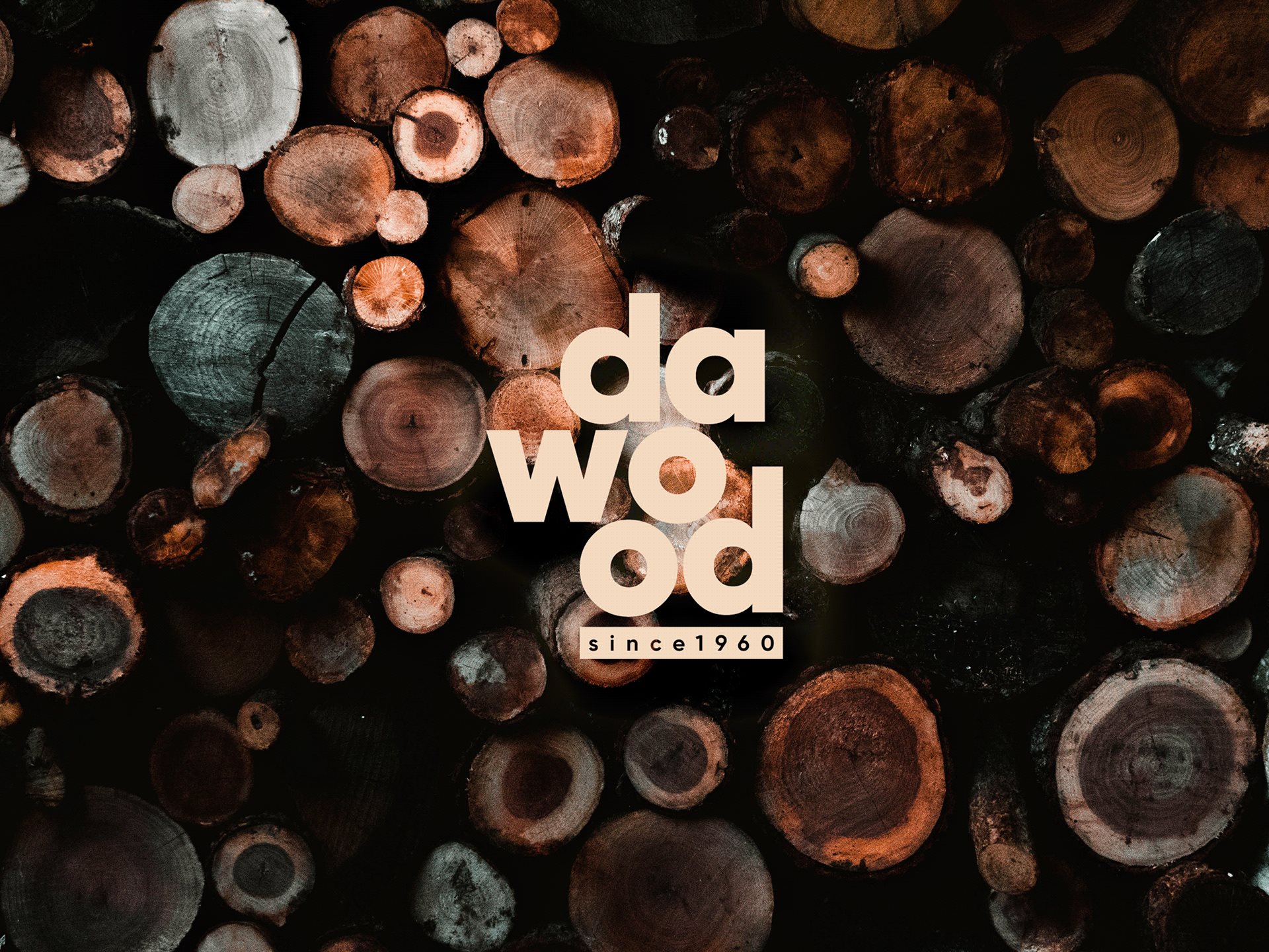 品牌识别 设计 设备 图标 视觉识别 身份 标志；徽标 连合活字 木材-02.jpg