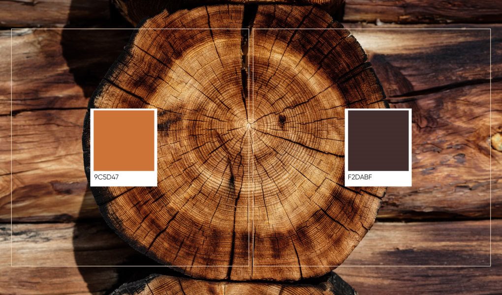 品牌识别 设计 设备 图标 视觉识别 身份 标志；徽标 连合活字 木材-07.jpg