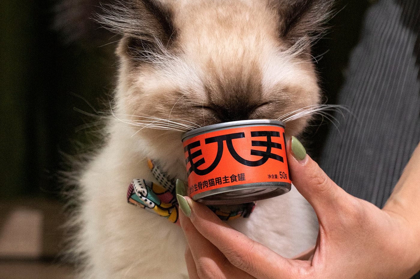毛兀 宠物品牌及罐头包装设计-08.jpg